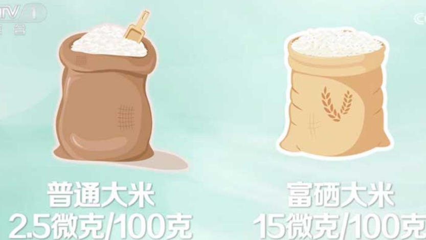 生活中哪些食品硒含量比较高？